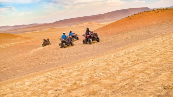 ATV-Abenteuer Ballestas Island und Paracas National Reserve
