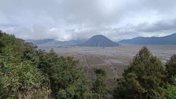 TỪ PROBOLINGGO: TOUR RIÊNG NGẮM BÌNH MINH BROMO TẤT CẢ BAO GỒM