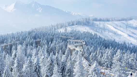 From Kraków: Slovakia Treetop Walk & 4-Hour Ski Pass