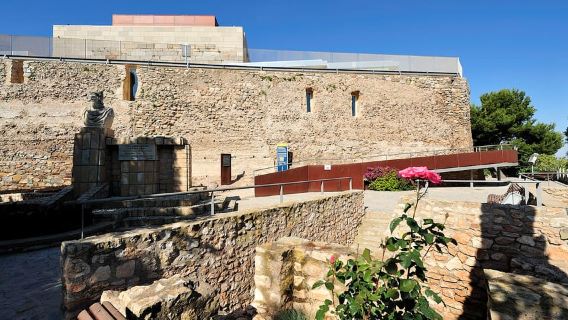 Cartagena: Panoramic Lift & Conception Castle Ticket