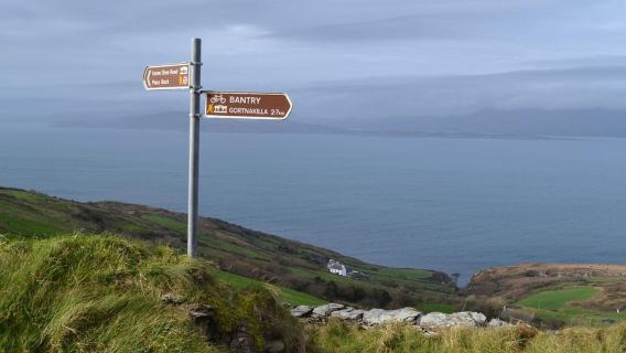 Da Cork: tour guidato di un giorno intero da West Cork a Mizen Head