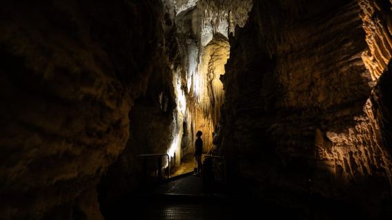 WAITOMO GLOWWORM E RUAKURI GROTTE-TOUR PRIVATO DA AUCKLAND