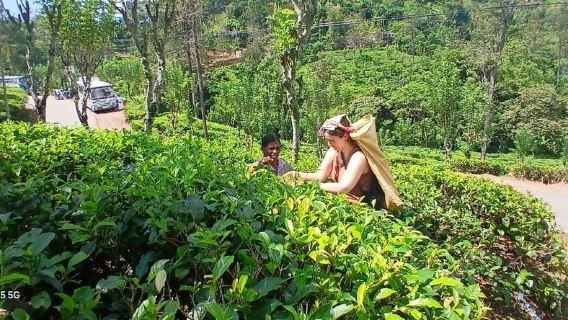 Tes Teh Kursi ELLA Lipton & Petik 9Arch, Air Terjun, & Makan Siang