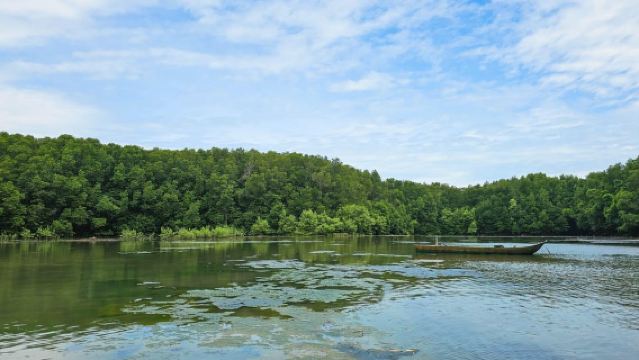 Ho Chi Minh City: Can Gio Mangrove & Wildlife Speedboat Tour