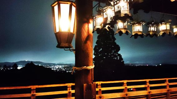 Nara: Geführter Nachtspaziergang – Schönheit in einer friedlichen Nacht