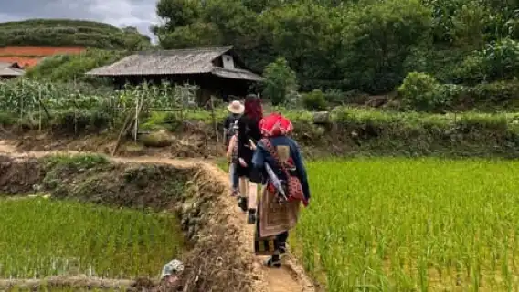 サパ：Y リンホー - ラオチャイ、タヴァン トレッキング 1 日ツアー