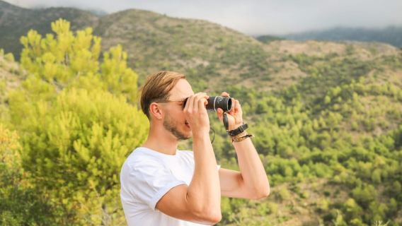 Esplora la natura di Marbella: escursioni guidate e gite di raccolta di cibo