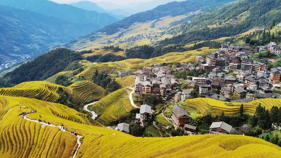 Guilin Longji Rice Terraces + Ping'an Zhuang Village + Jinkeng Dazhai Two-Village 1-day tour[Small Group | private tour]