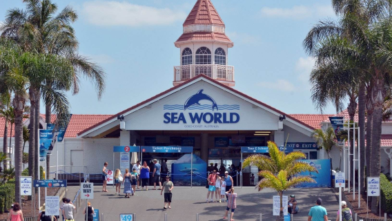 Australia Gold Coast Sea World 1-day tour [Optional combo with Warner Bros. Movie World/Paradise Country/Wet'n'Wild]