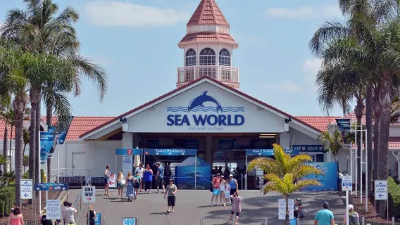 Excursión de un día a Sea World en Gold Coast, Australia [opción de combinar con Warner Bros. Movie World/Paradise Country/Wet'n'Wild]