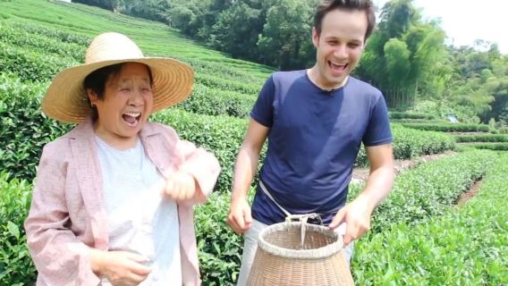 Tea Frying & Picking Experience: Hangzhou Meijiawu Half-Day Tour (Multi-Language Available)