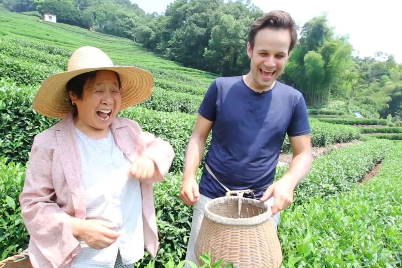 Tea Frying & Picking Experience: Hangzhou Meijiawu Half-Day Tour (Multi-Language Available)