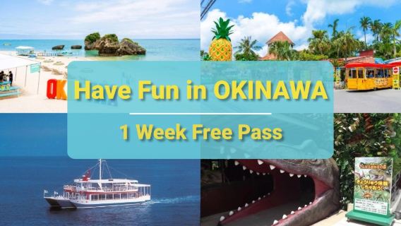 Городской проездной Окинава | Have Fun In Okinawa | Недельный проездной с бесплатным доступом (опционально с комплексным обедом/пакетом услуг, включающим входной билет в океанариум Окинава Тюрауми)