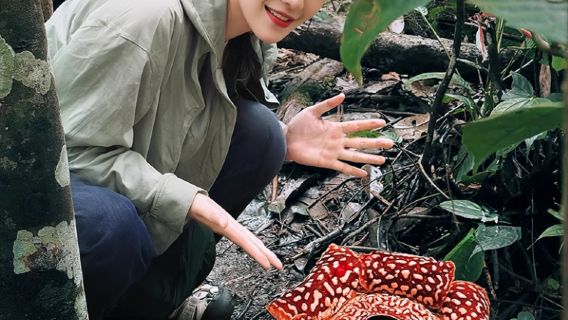 馬來西亞 大王花基地半日遊 (可搭紅樹林)|快來欣賞神奇的巨花、寶可夢走進現實