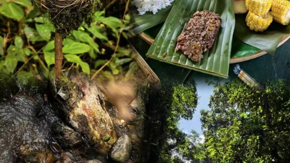 1-Day Jinuo Mountain Rainforest Hiking Tour with Rainforest Meal and Guide | Premium Small Group | Door-to-Door Pickup