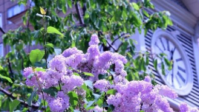 日本北海道+登別熊牧場+洞爺湖一日遊/行程可調-可訂製