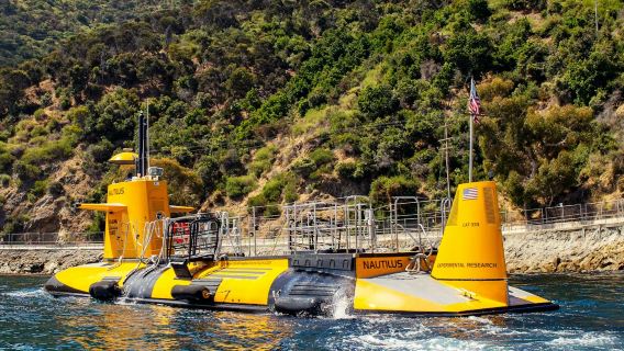 Los Angeles: Semi-Submarine Excursion from Catalina Island