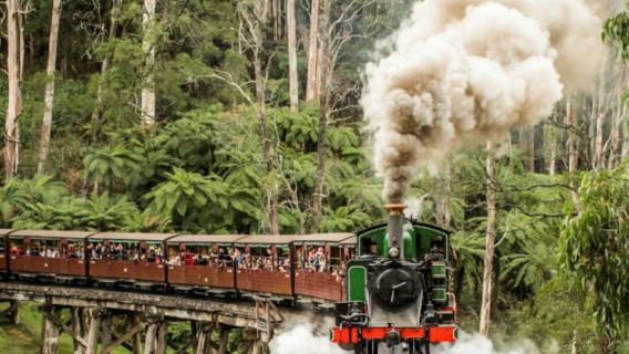 Puffing Billy Train à vapeur : Billet d'entrée aller-retour Belgrave à Gembrook