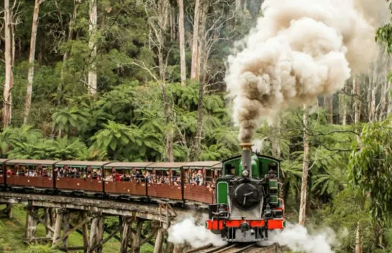 普芬比利蒸汽火車：貝爾格雷夫至金布魯克來回票