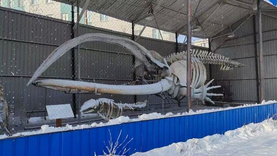 Classic Yakutsk City Private Charter Day Tour