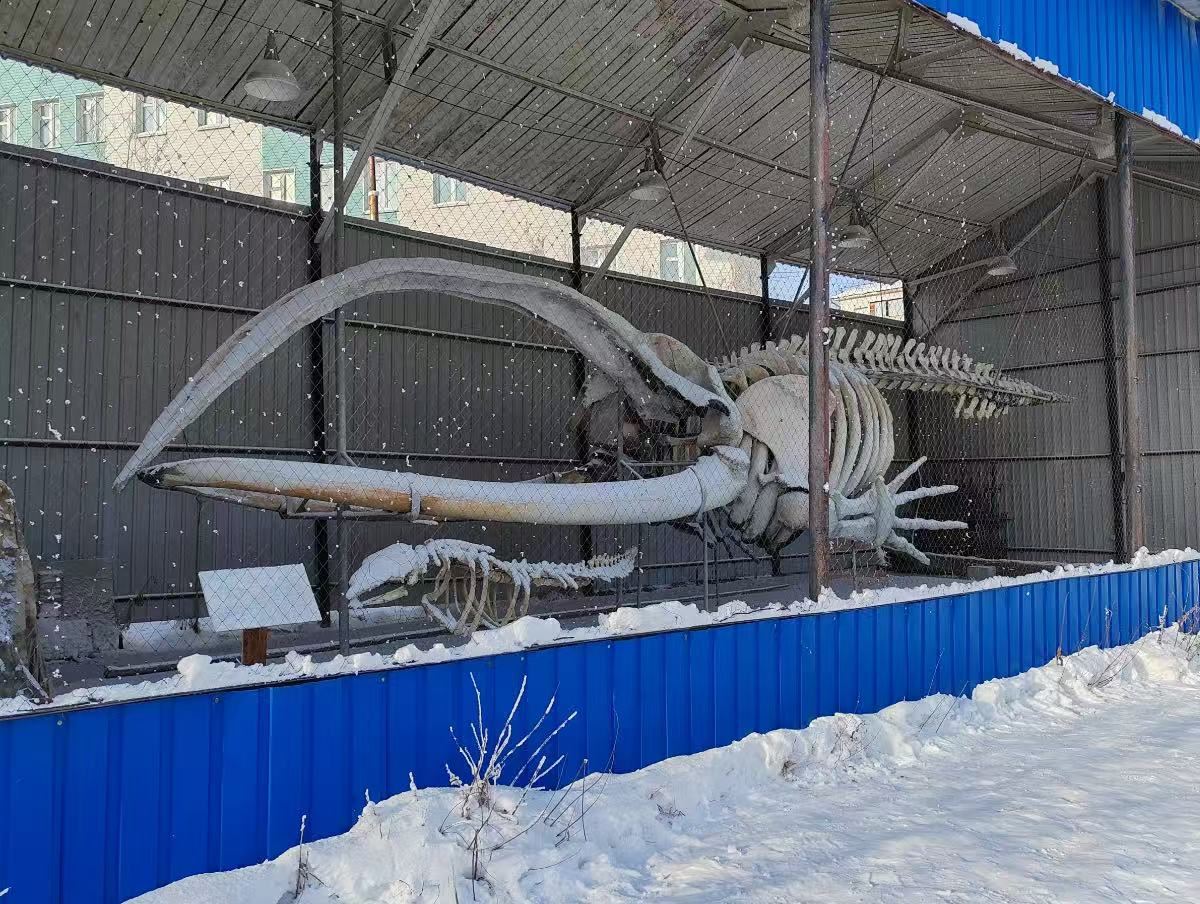 Classic Yakutsk City Private Charter Day Tour