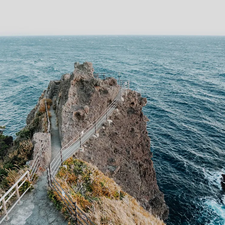 Izu Kyuko Line + Jogasaki Coast + Mt. Omuro 1-day small group tour