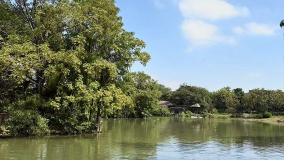 Haizhu Wetland Park + B.I.G Haizhu Bay Art Zone