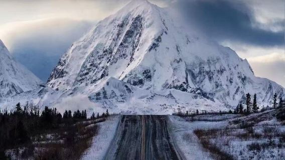 美國費爾班克斯迪納利國家公園+第49州啤酒廠打卡【中文包車】