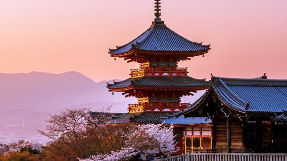 日本京都+奈良一日遊【可選9人小團|車接車送|中文司機服務】