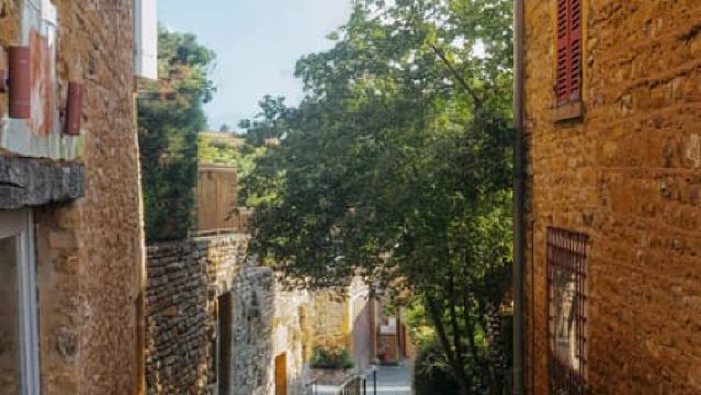 Từ Lyon: Chuyến tham quan thưởng thức rượu vang Beaujolais Đá Vàng