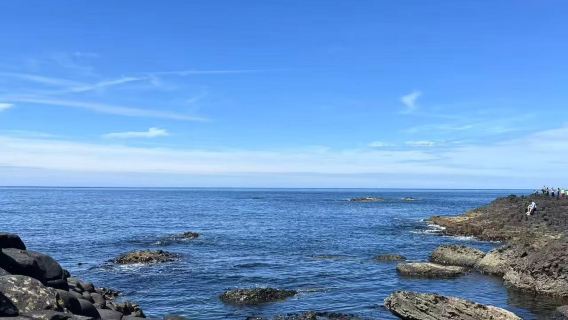 愛爾蘭都柏林 愛爾蘭漁女雕像【中文司機 可訂全境包車】