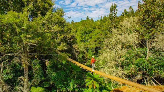 Tour 1 ngày tự lái trượt zipline và chèo thuyền tại Rotorua, New Zealand + suối nước nóng Cổng Địa Ngục