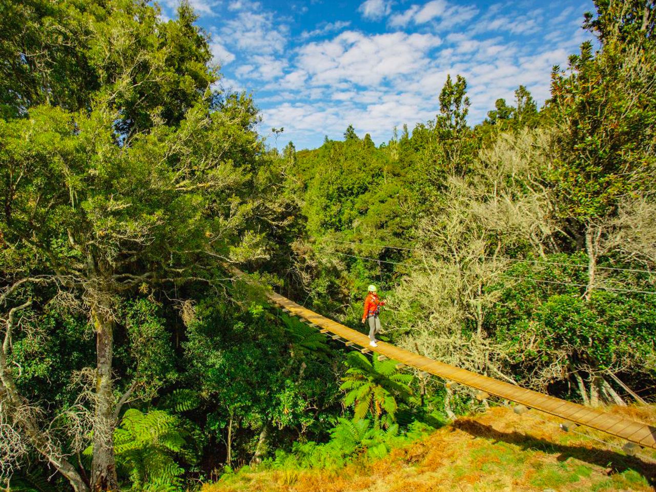 New Zealand Rotorua Zipline and Rafting + Hell's Gate Hot Springs 1-Day Tour [Road Trip]