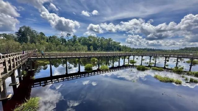 Kod Kekayaan Brunei | Bandar Minyak + Lawatan Sehari Sewaan Peribadi ke Tempat Rahsia Desa