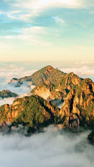 Huangshan Scenic Area One-Day Tour [Trip Gold Medal Guide & Mountain Climbing Escort ■ Multiple Packages ■ No Shopping Tour]