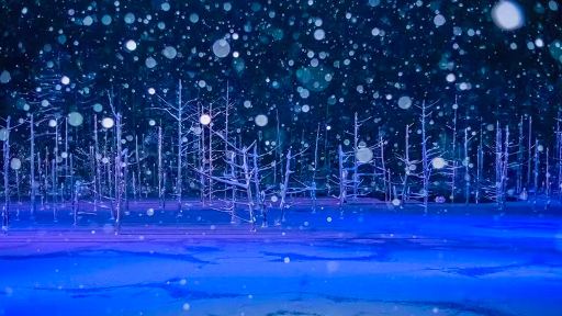 北海道點燈之旅&四季彩&聖誕樹&精靈露台&瀑布青池/中文司導