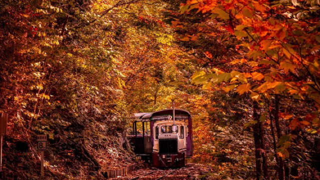 【首爾近郊漫步】和談林+北村韓屋+南山谷韓屋+【中文服務】