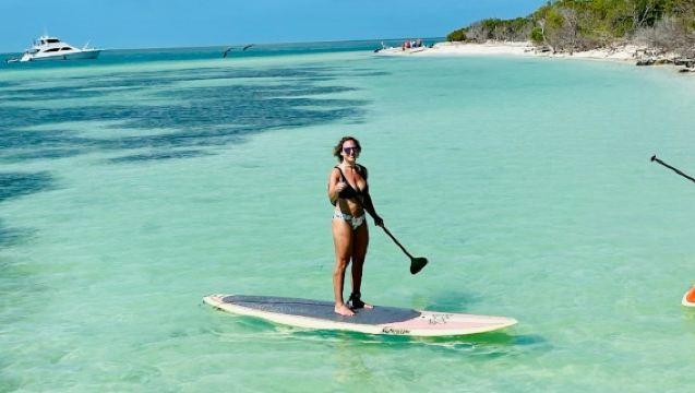 ทริปสำรวจเกาะและชมโลมา