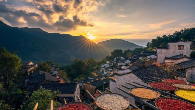 Passeio de um dia em Wuyuan: Entrada no Huangling (inclui teleférico) + Vale Wangxian - Pacote puro dos dois pontos turísticos famosos