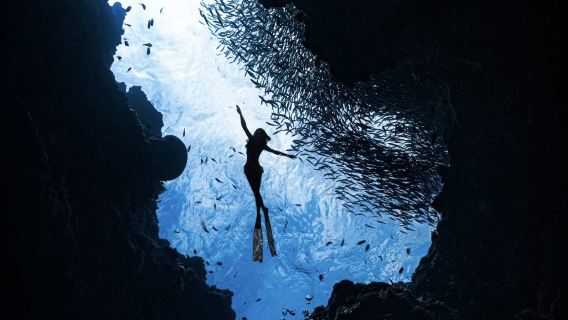 [Pulau Redang · Snorkeling Lihat Penyu] - 'Summer Holiday' Terokai Laut Jelly - Berlepas dari Pulau Redang