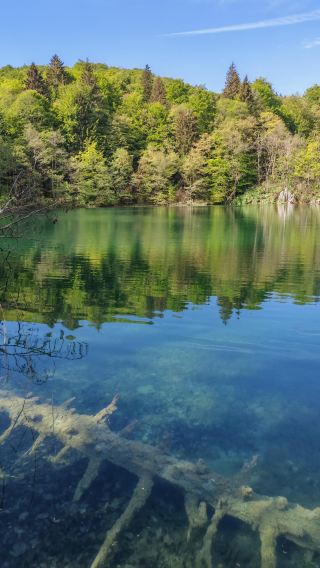 From Zagreb: Plitvice Lakes National Park + Watermill village (optional group size)