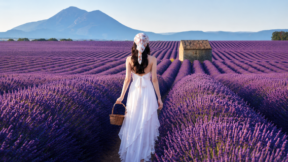 Lawatan Sehari Kumpulan Bahasa Cina 2-8 Orang | Lavender Sault Provence Perancis + Roussillon + Gordes