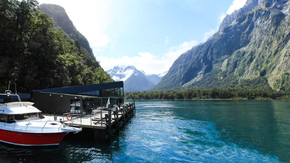 Milford Sound cruise in New Zealand