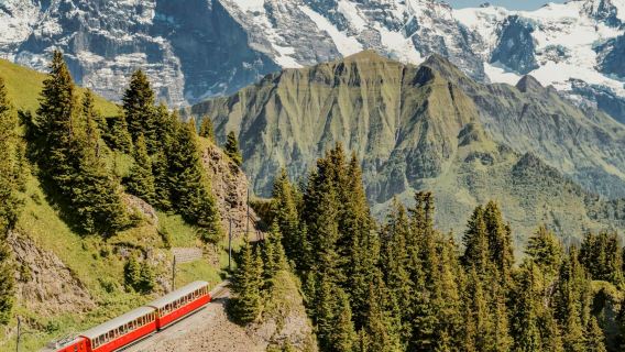 Schynige Platte: Tren cremallera de ida y vuelta desde Wilderswil