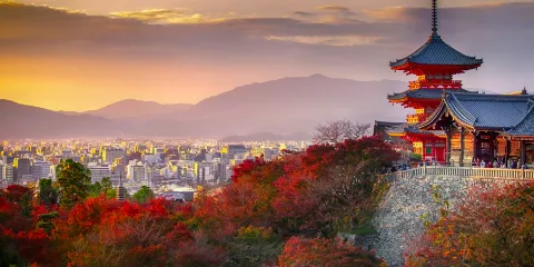 日本嵐山+清水寺+伏見稻荷一日遊【大阪京都出發+中英導遊】
