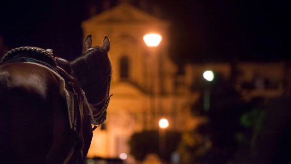 Palermo's Dark Shades: Crimes, Legends & Tasting Tour