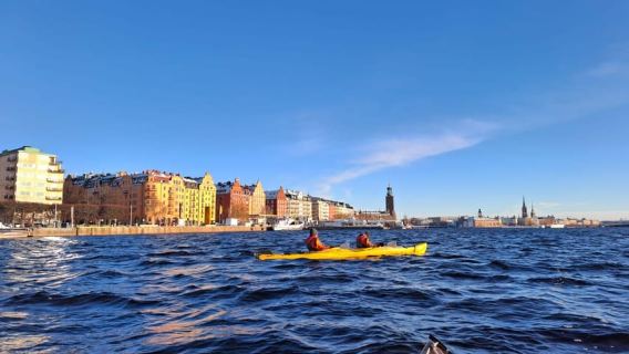 Stockholm: Winter Kayaking Tour through the City Centre