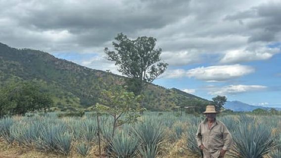 Guadalajara: Premium Tequila Tour with Tastings and Pairings