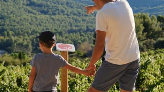 Bandol: Visit to a family winery and tasting