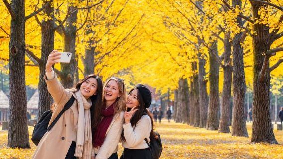 Full-Day Customizable Private Tour to Nami Island and surrounding Area